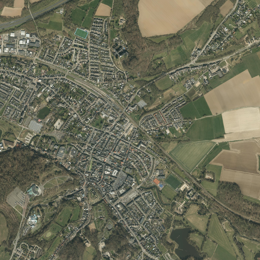 Stitched 0.25 m PDOK orthomosaic of the Valkenburg AOI